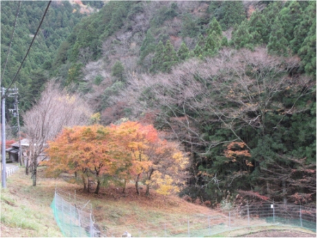 画像7