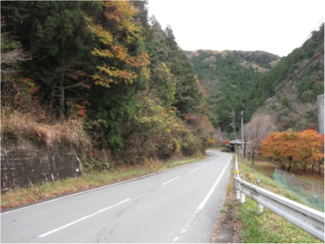 画像8