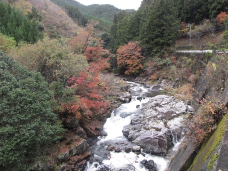 画像9