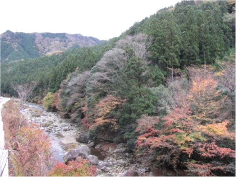 画像10