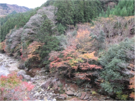画像11
