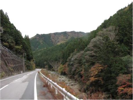 画像12