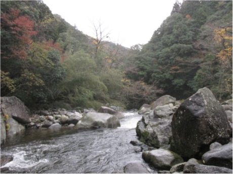 画像13
