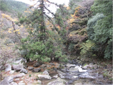画像16