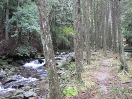 画像18