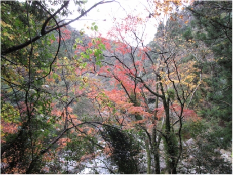 画像20