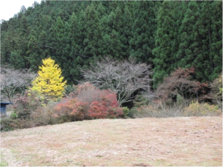 画像23