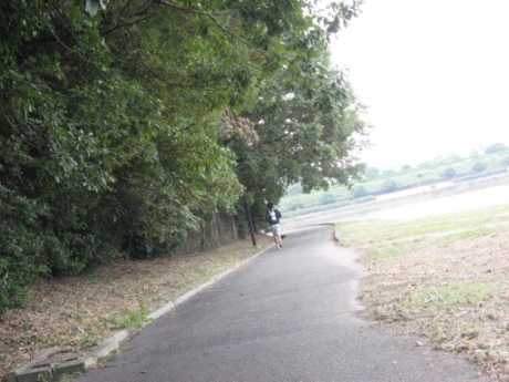 画像11