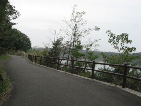 画像12