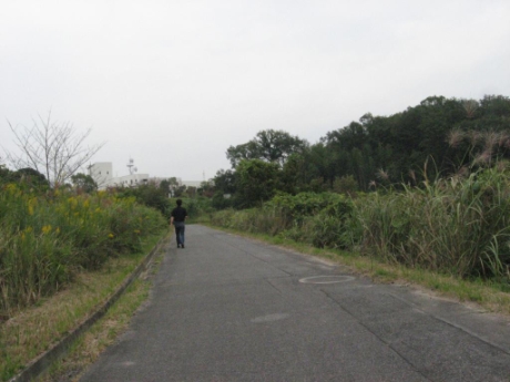 画像13