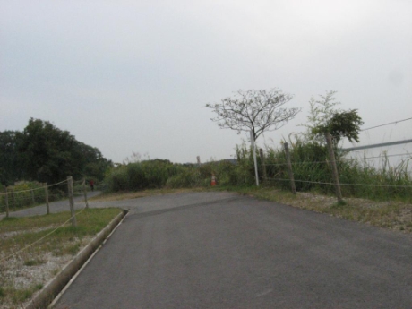 画像15