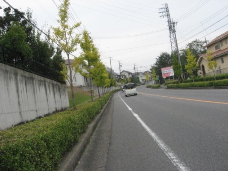 画像24
