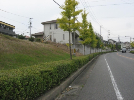 画像25