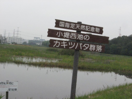 画像87
