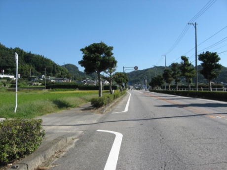 画像11