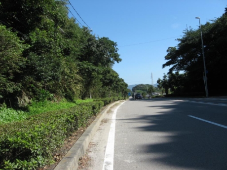 画像12