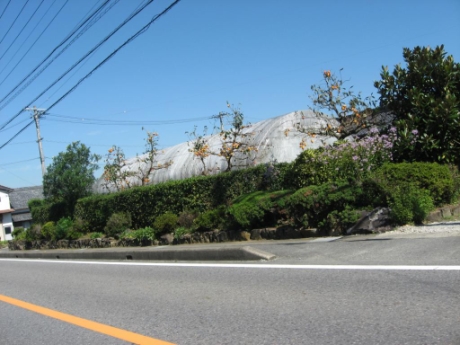 画像18
