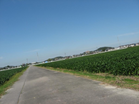 画像20
