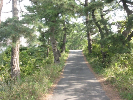 画像7
