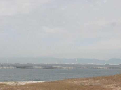 画像8