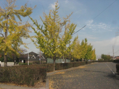 画像22
