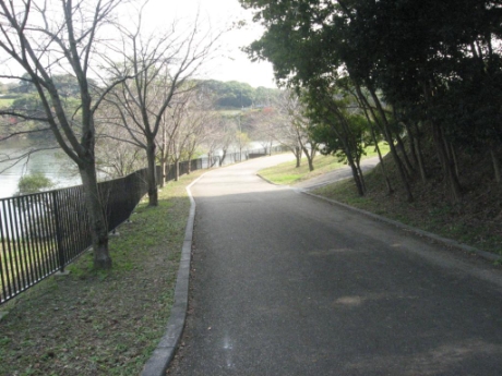 画像24