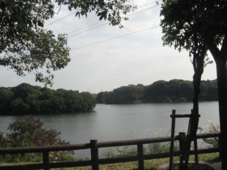 画像25