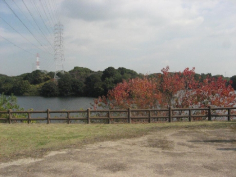画像26