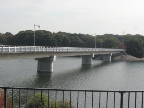 画像27