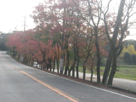 画像28