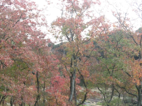 画像29