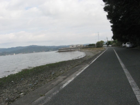 画像8