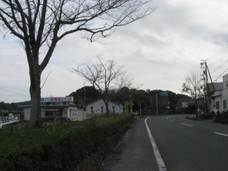 画像13