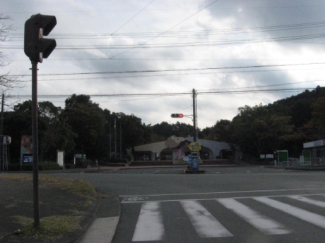 画像14