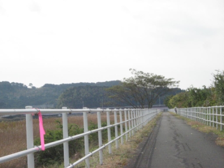 画像23