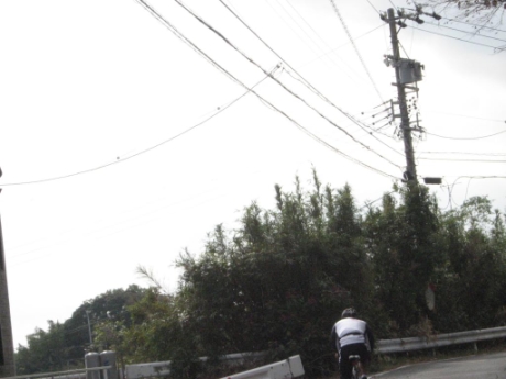 画像25