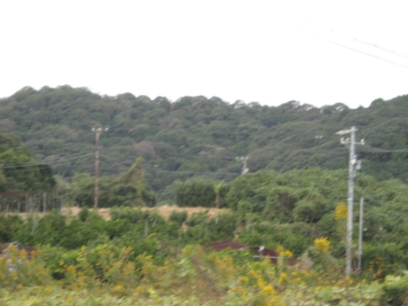 画像26