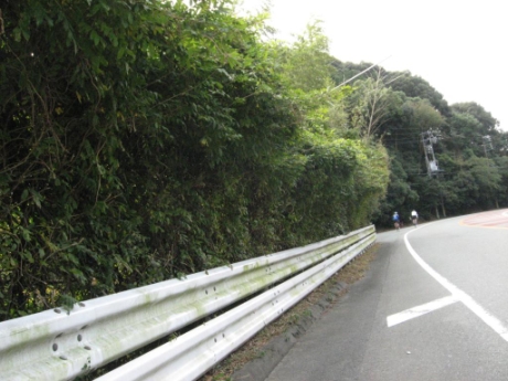 画像31