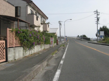 画像44