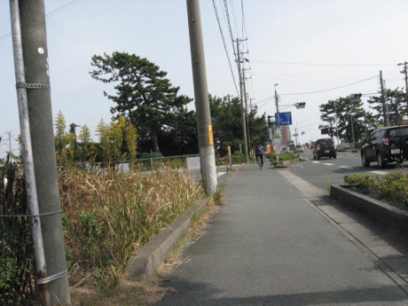 画像55