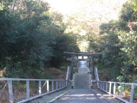 画像7