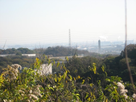 画像9