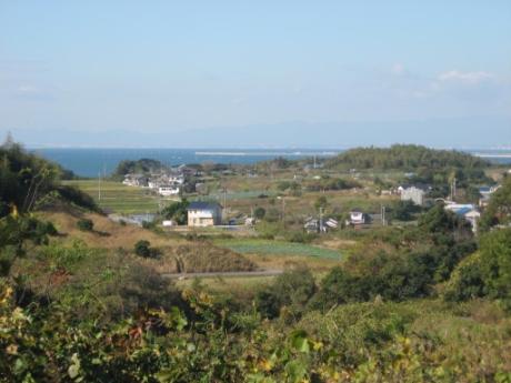 画像12