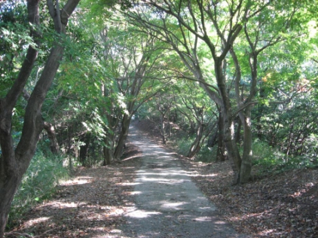 画像18