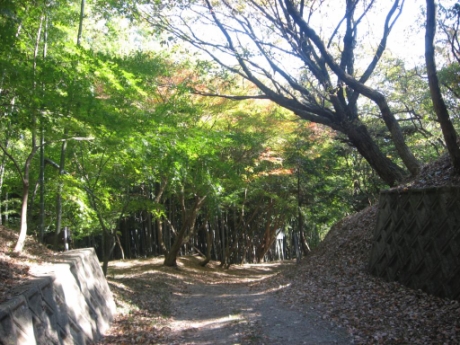 画像19