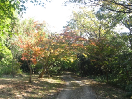 画像23