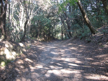 画像24