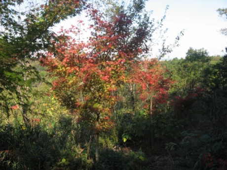 画像27