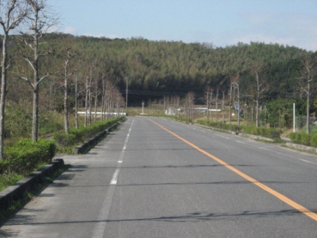 画像33