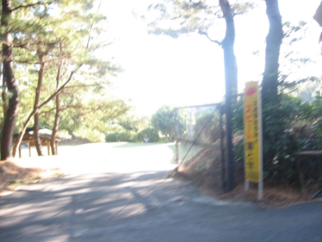 画像39